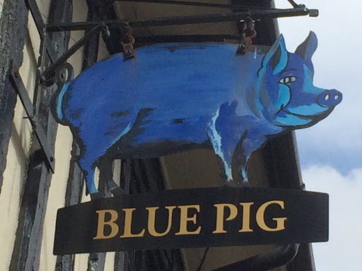 Blue Pig 