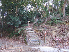 きつねコース登山口の前を通る