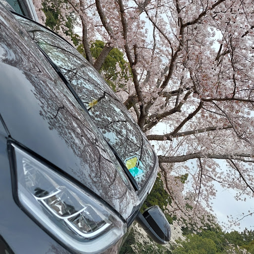 YUIのプロフィール画像