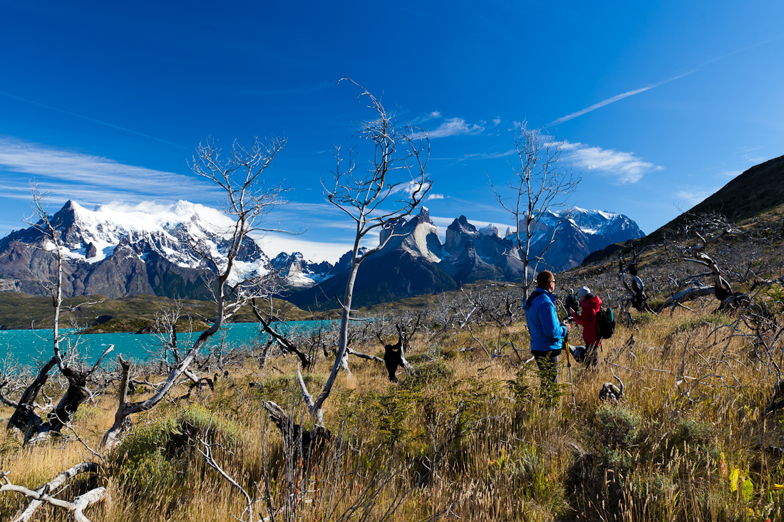 Патагония: Carretera Austral - Фицрой - Торрес-дель-Пайне. Треккинг, фото.