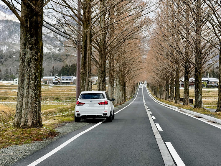 の投稿画像1枚目