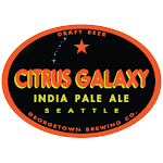 Georgetown Citrus Galaxy IPA