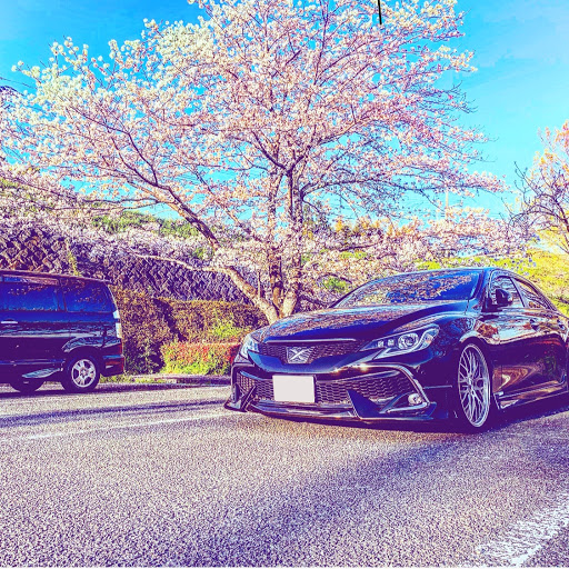 shimoのプロフィール画像