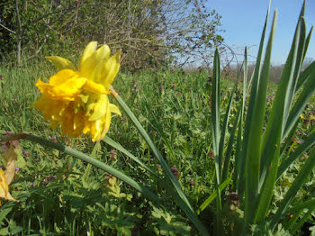 terrain à Uzein (64)