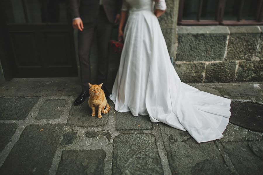 Fotograful de nuntă Evgeniy Shamshura (evgeniishamshur). Fotografia din 1 august 2016