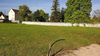 terrain à Anglure (51)