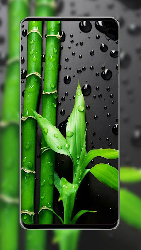 S10 S10 plus S10e wallpapers