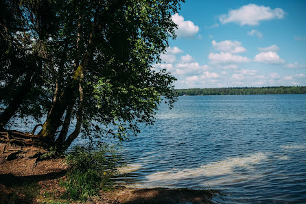 Hochzeitsfotograf Dmitriy Kolosha (diamon). Foto vom 11. Juni 2015