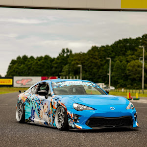 86 ZN6