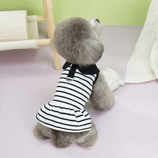 Title 10, Pet Summer Stripes T-shirt Skirt – Keep your pe...