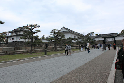 桜満開の大坂城