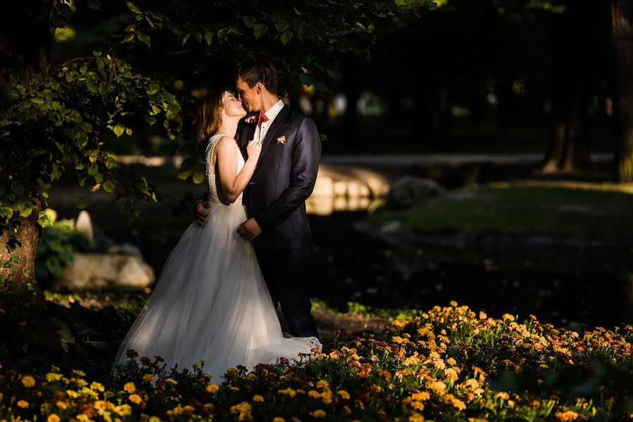 Wedding photographer Michał Zajączkowski (smashzaj). Photo of 18 May 2019