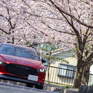 MAZDA3 BPFP