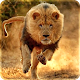 Download Lion Live Wallpaper 2019: 3D Real HD Background For PC Windows and Mac 1.1