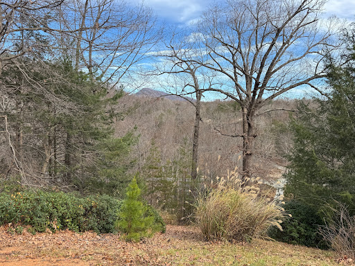 Luxury property for sale in Lake Lure (United States)