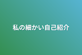 私の細かい自己紹介