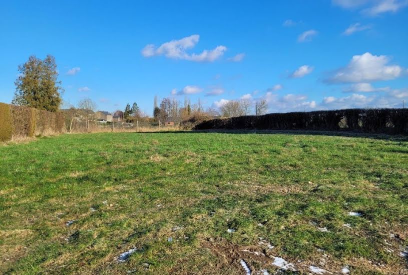  Vente Terrain + Maison - Terrain : 950m² - Maison : 71m² à Felleries (59740) 