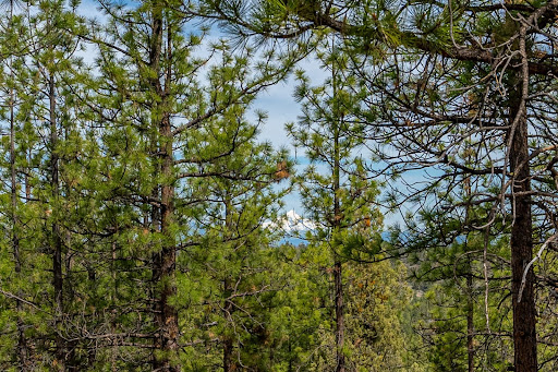Luxury land for sale in Bend (United States)