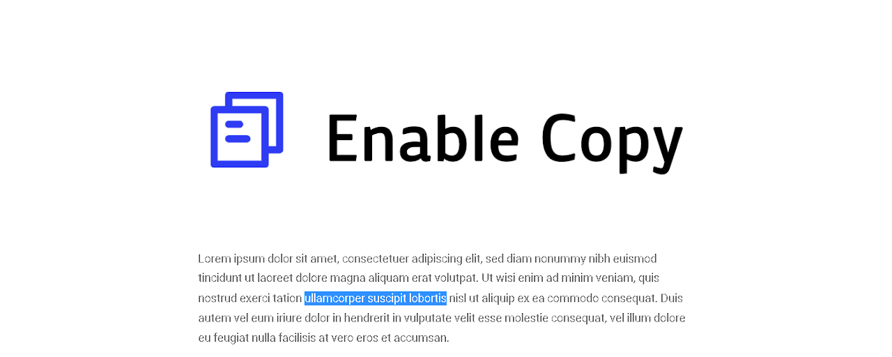 Enable Copy Preview image 2