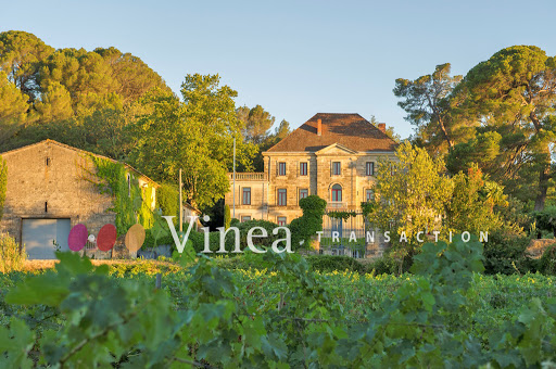 Vineyard with pool and outbuildings 2