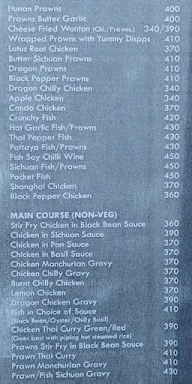 Stir Fry Grill menu 8