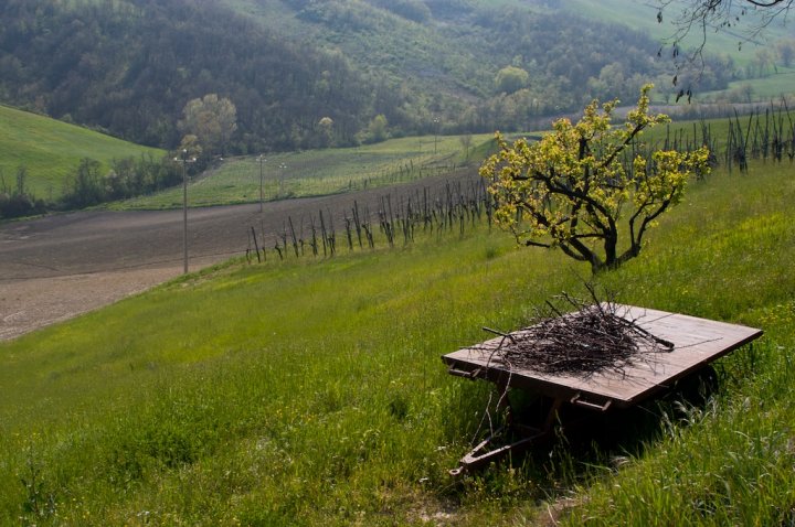 Fuori dal Borgo di tav1