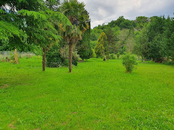 terrain à Izeste (64)