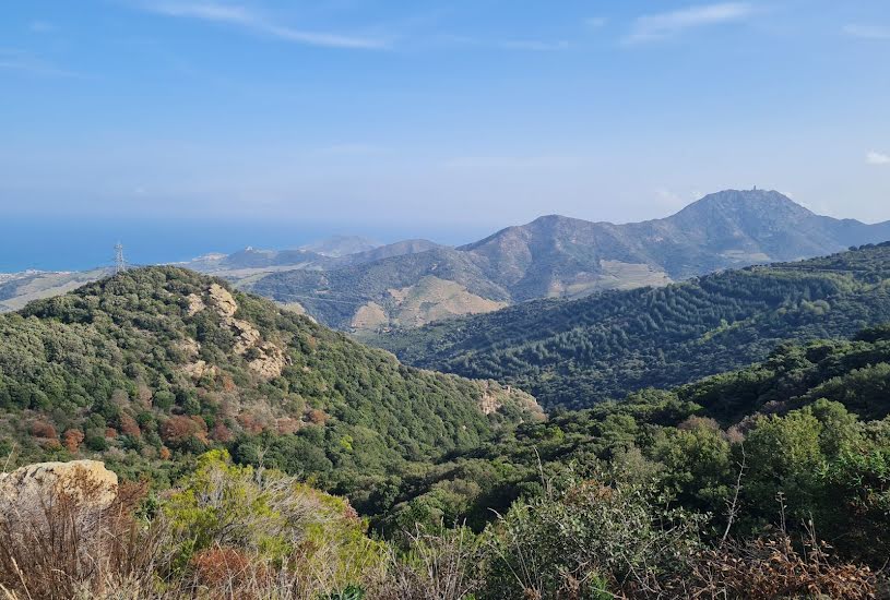  Vente Terrain agricole - 10 225m² à Banyuls-sur-Mer (66650) 