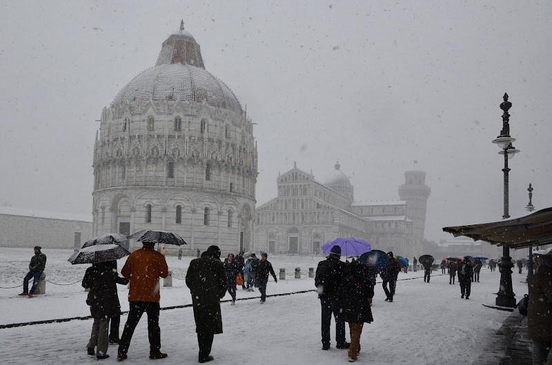 Più bianco non si può di michele_sacco