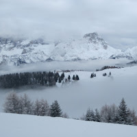 Avvolti nella nebbia di 