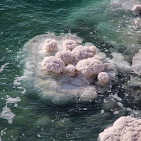 Quando l'acqua si trasforma  di 