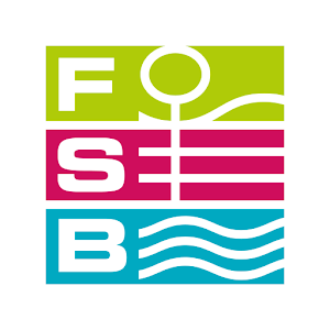 Download FSB For PC Windows and Mac