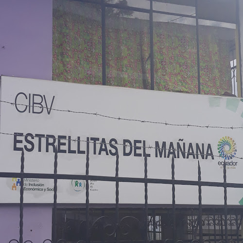 Opiniones de Cibv Estrellitas Del MañAna en Quito - Guardería