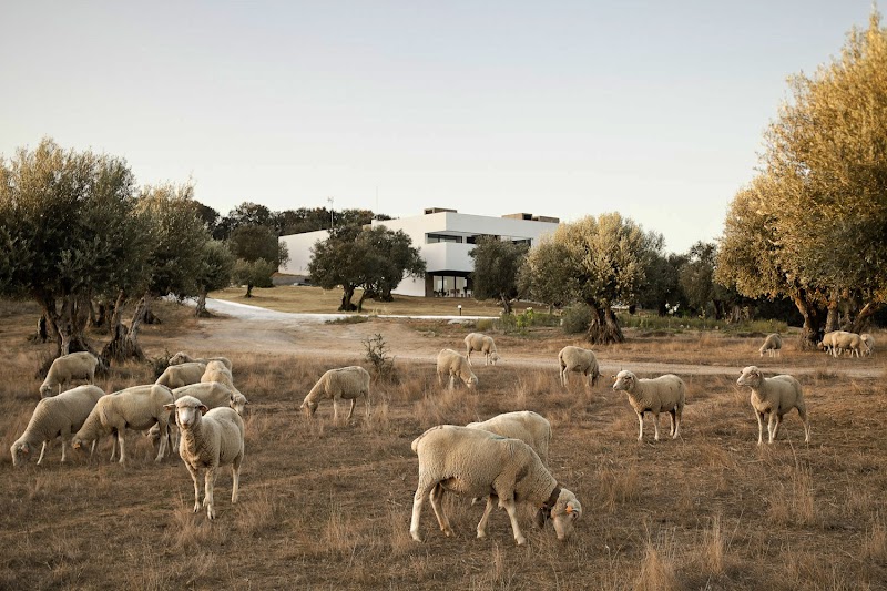 Villa Extramuros - Vora Arquitectura