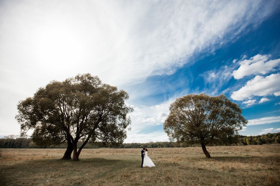 Fotógrafo de casamento Aleksandr Demin (demin-foto46). Foto de 18 de fevereiro 2020