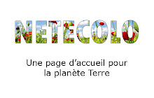 Une page d'accueil pour la planète terre small promo image