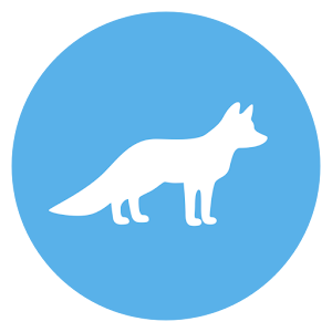 Cleanfox*