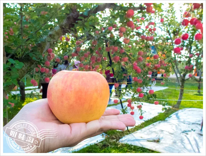 東北果園採果樂水蜜桃蘋果