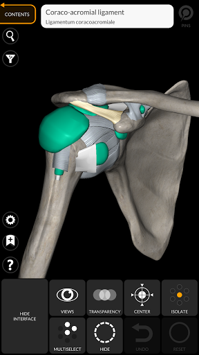 Screenshot Anatomy 3D Atlas