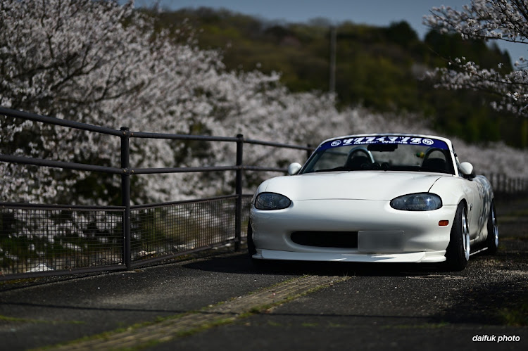 ロードスターのサクライマツダ・板っぱねはいいぞー・おっさん軍団・撮影会📸・サクラと愛車・撮って頂いたシリーズに関するカスタム事例の投稿画像17枚目