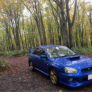 インプレッサ WRX STI GDB