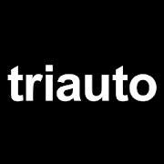 triauto  Icon