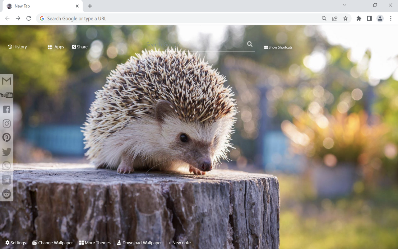 Hedgehog Wallpaper New Tab Preview image 3