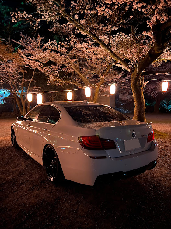5シリーズ セダンのいつもイイネ&コメントありがとうございます🙇‍♂️・桜とコラボ・サクラと愛車・目指せPickUpCars・夜桜に関するカスタム事例の投稿画像7枚目