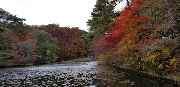 の投稿画像37枚目