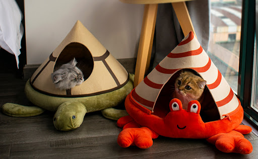 Title 5, Cat Nest Crab Turtle Shaped Cat Sofa Bed Cute C...