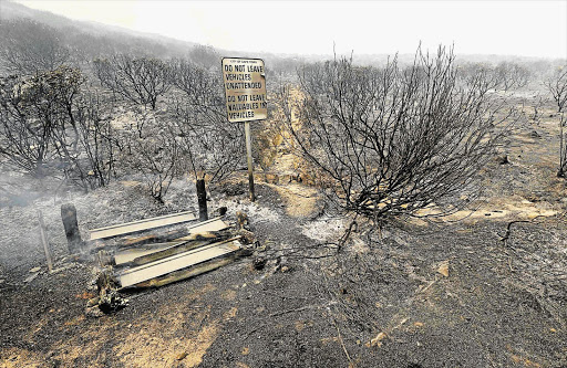 AFRICA BURNT: The smouldering remains after fire swept along Chapman's Peak Drive yesterday