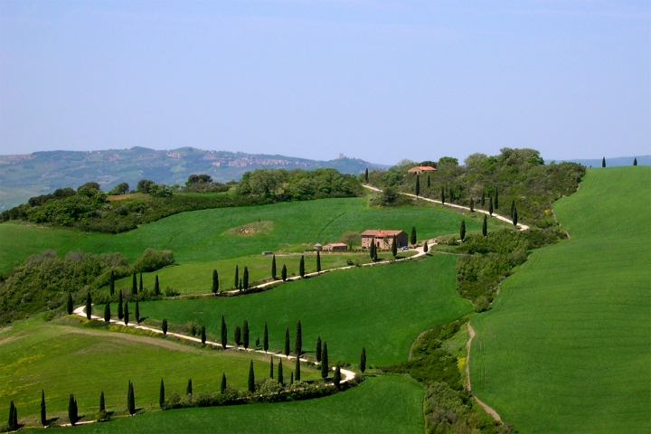 Collina toscana di Simone Sartorelli