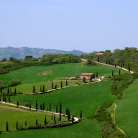 Collina toscana di 