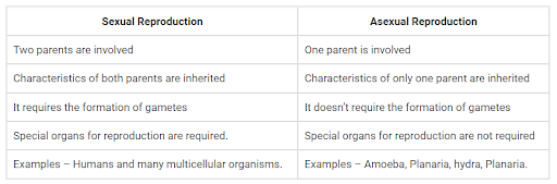 Solution Image